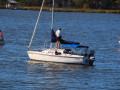 Chattahoochee Coup Too 222 1196