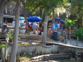 Chattahoochee Coup Too 229 1203