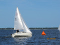 IMG 9220