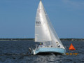 IMG 9241