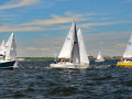 DSC 5631