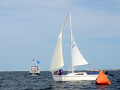 DSC 5930