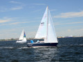 DSC 5646