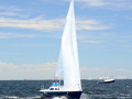 DSC 5648