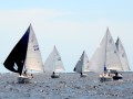 DSC 5656