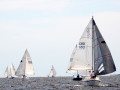 DSC 5659