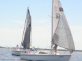 DSC 5684