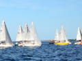 DSC 5691