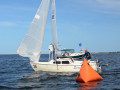DSC 5715