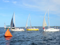 DSC 5720