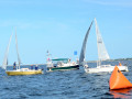 DSC 5724