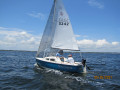 IMG 9255
