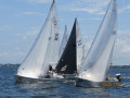 IMG 9263