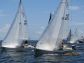 IMG 9264
