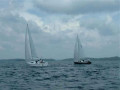 sport 27 2178