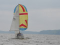 IMG 2110 4008