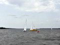 DSC 0137 4655