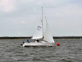 DSC 0147 4665