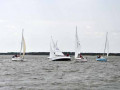 DSC 0151 4669