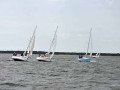 DSC 0153 4671