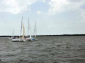 DSC 0154 4672