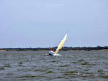 DSC 0045 4727
