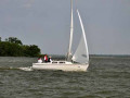 DSC 0051 4733