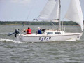 DSC 0063 4745