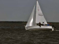 DSC 0080 4761