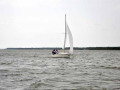 DSC 0095 4775