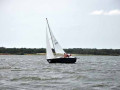 DSC 0100 4780