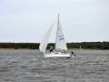 DSC 0111 4791