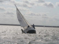 Tuesday Genoa   Spinnaker 019 4855