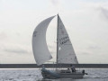 Tuesday Genoa   Spinnaker 028 4864