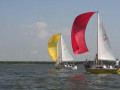 Tuesday Genoa   Spinnaker 083 4919