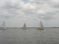 Tuesday Genoa   Spinnaker 123 4959