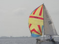 IMG 3454