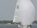 IMG 3460