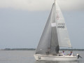 IMG 3465