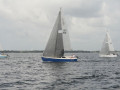 IMG 3475