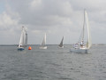 IMG 3480