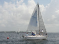 IMG 3483