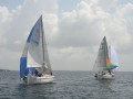 IMG 3484