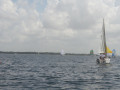 IMG 3490