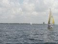 IMG 3491