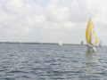 IMG 3492