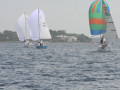 IMG 3503