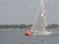 IMG 3519