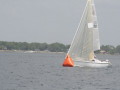 IMG 3520