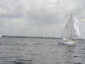 IMG 3521